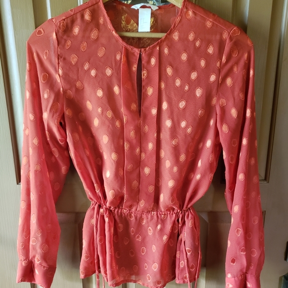H&M size 4 sheer long sleeved blouse